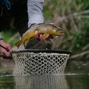 Fishing Gear